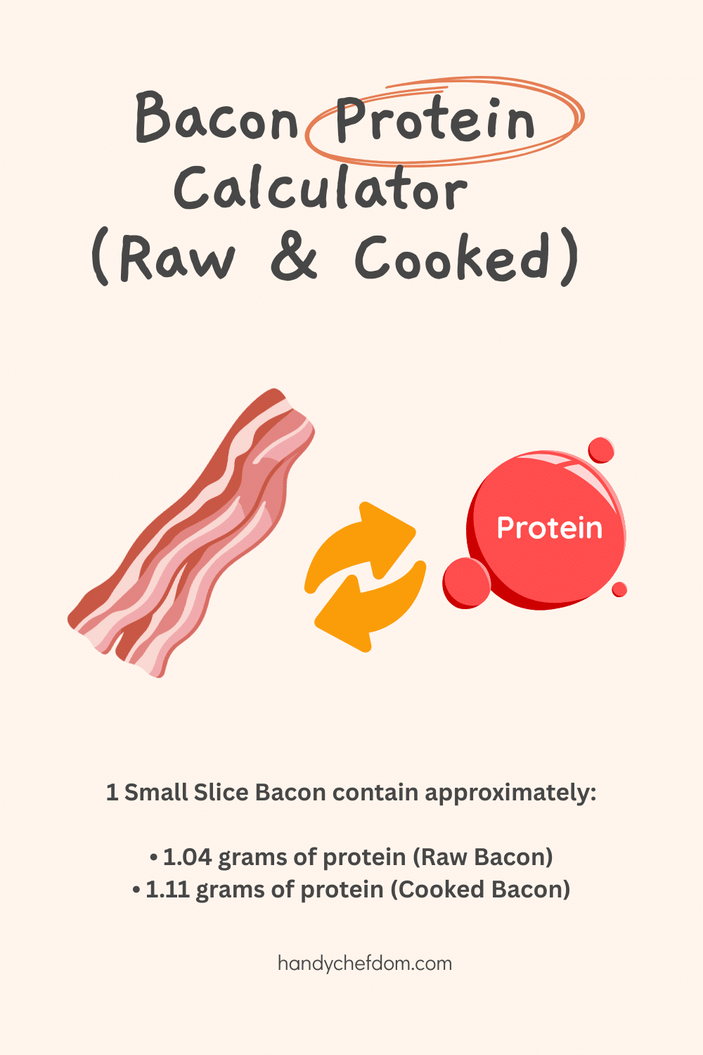 Bacon Protein Calculator (Raw & Cooked)