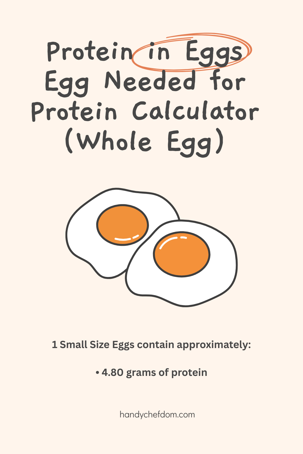 Protein in Eggs and Egg Needed for Protein Calculator (Whole Egg)