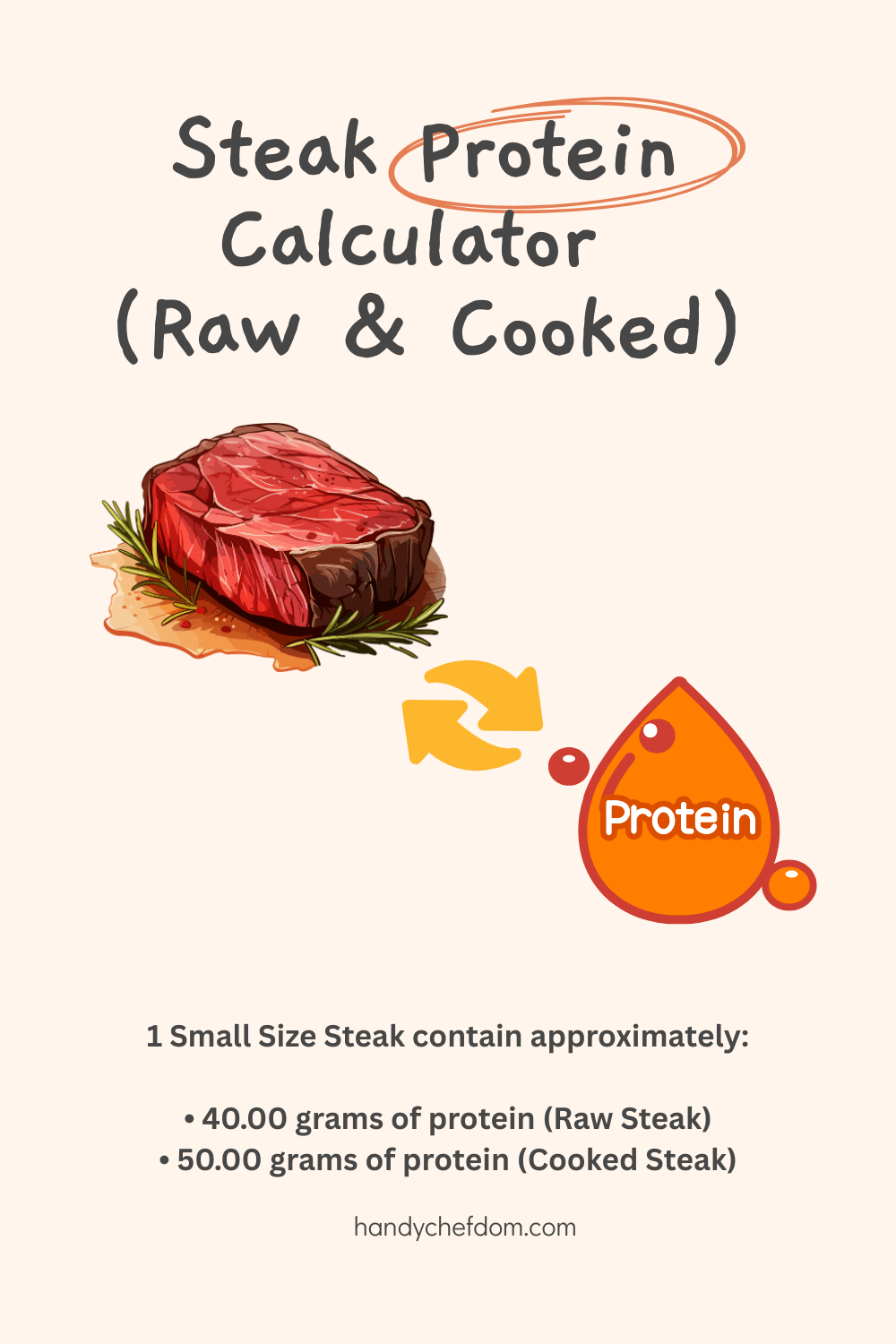 Steak Protein Calculator (Raw & Cooked)