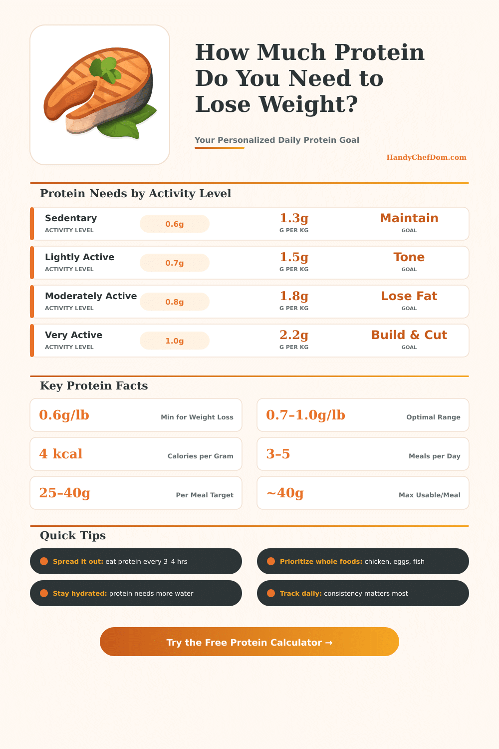 Protein Calculator to Lose Weight – Daily Protein Intake Tool