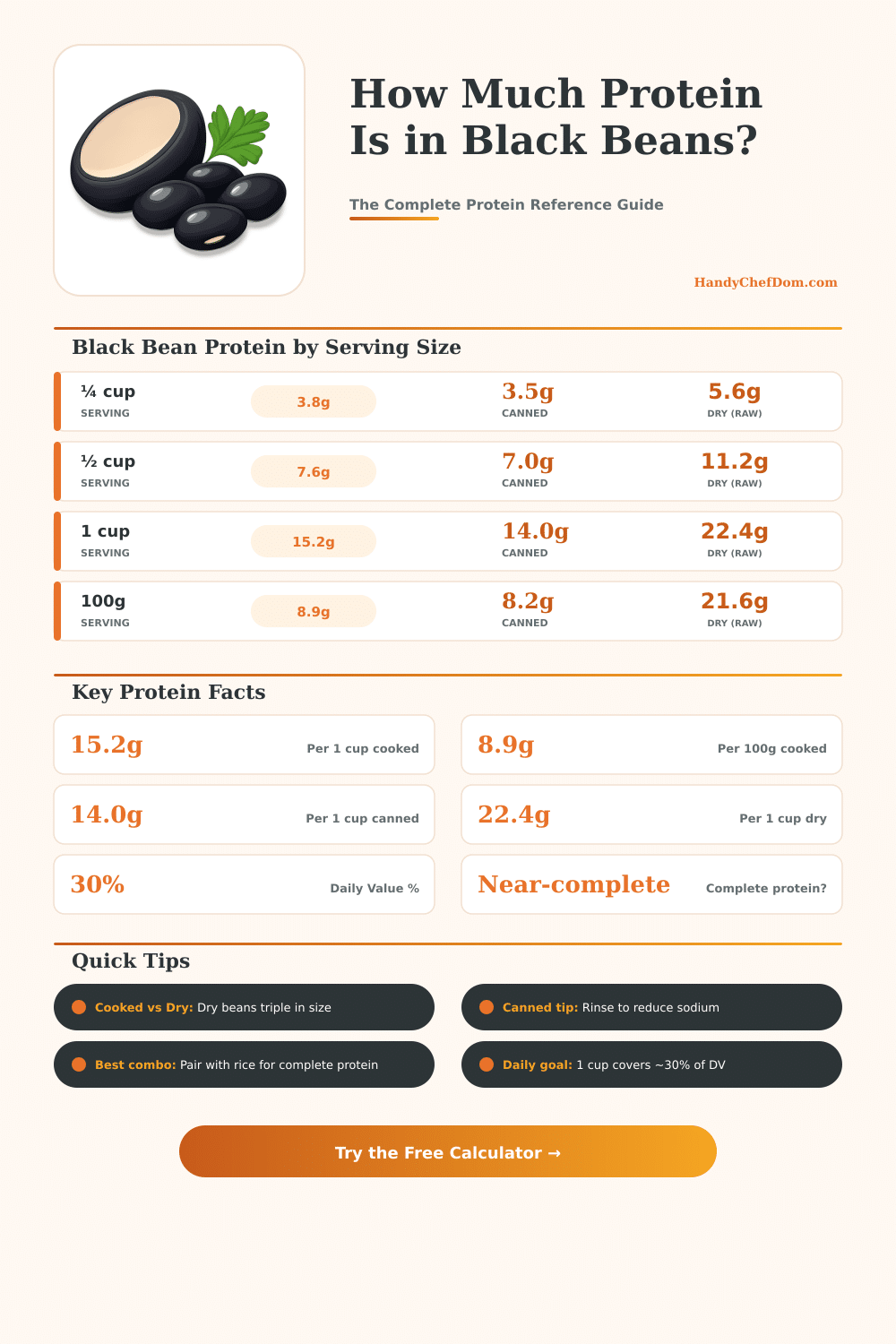 Protein in Black Beans Calculator – Exact Grams Per Serving