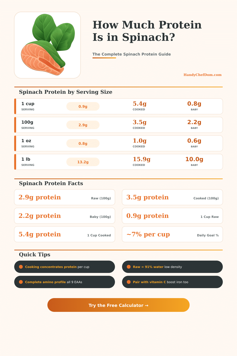 Protein in Spinach Calculator – How Much Protein Does Spinach Have?