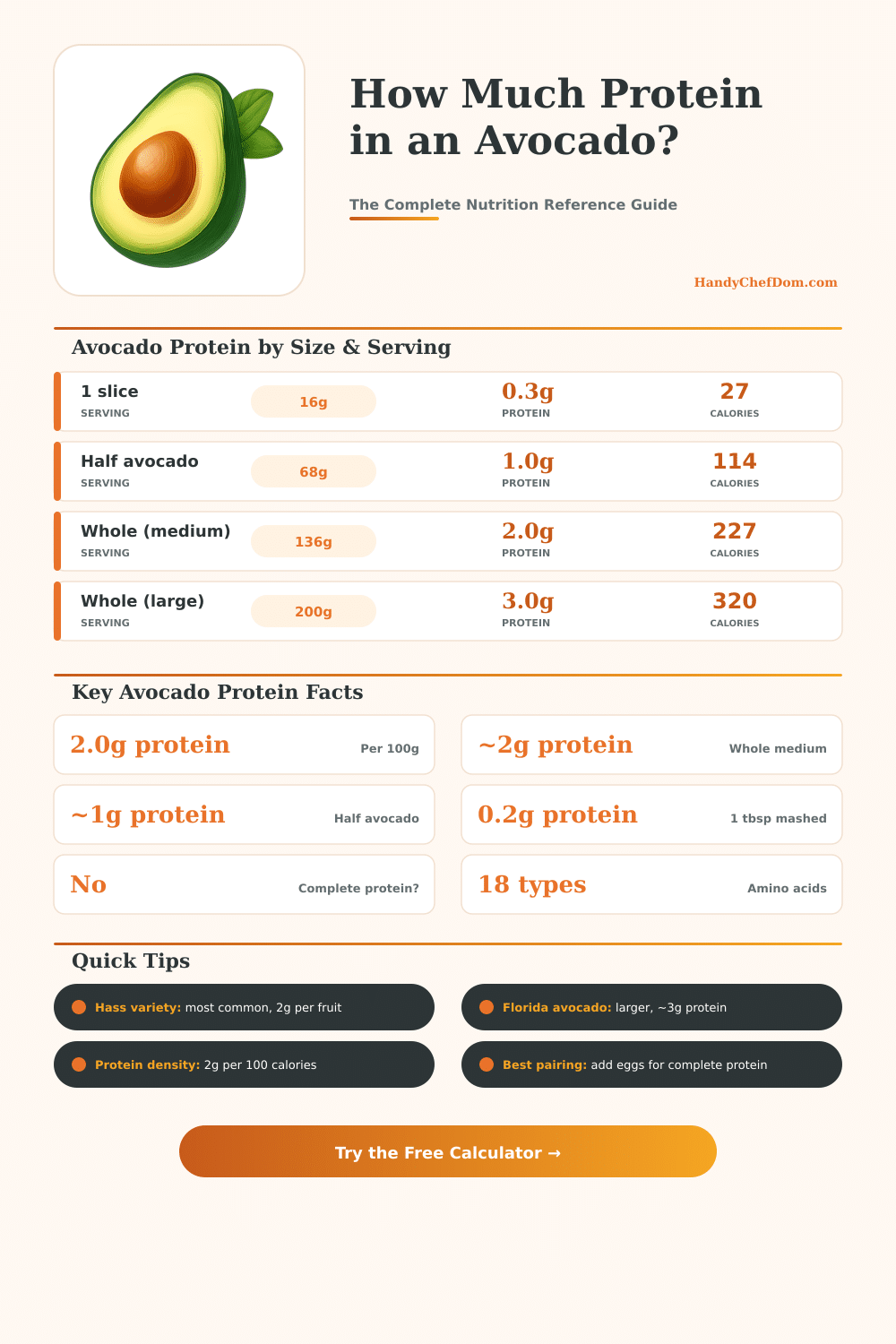 Avocado Protein Calculator – How Much Protein in an Avocado?