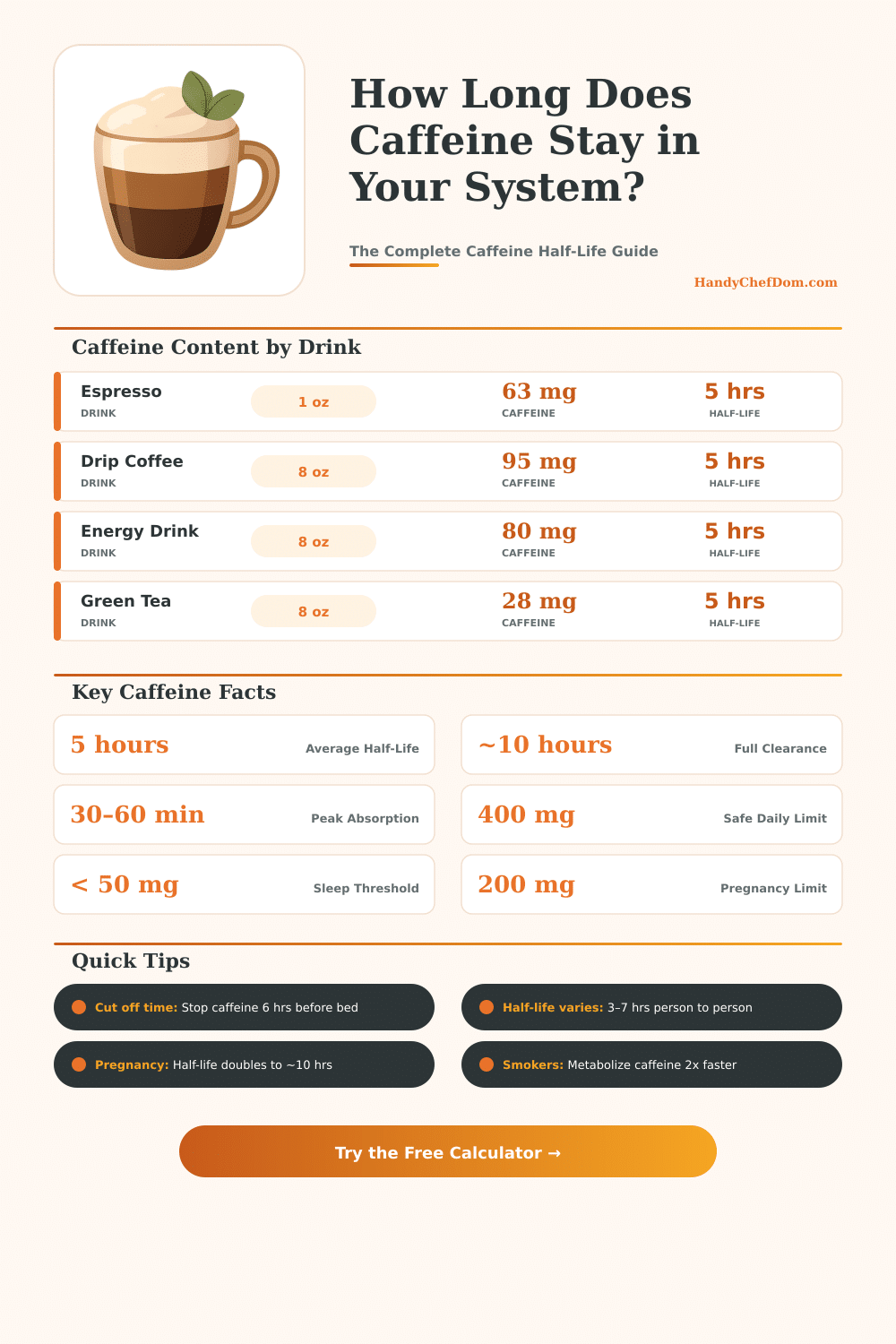 Caffeine Half-Life Calculator: How Long Does Caffeine Last?