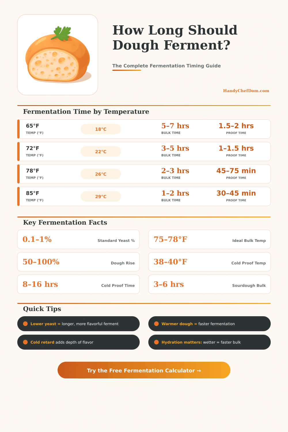 Dough Fermentation Calculator: Timing, Temperature & Yeast Guide