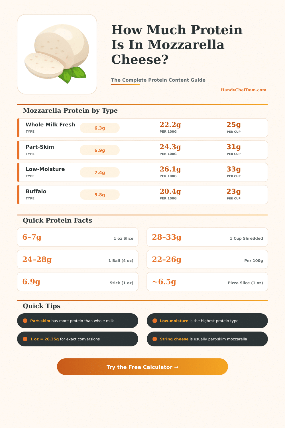 Mozzarella Cheese Protein Calculator – How Much Protein Per Serving?