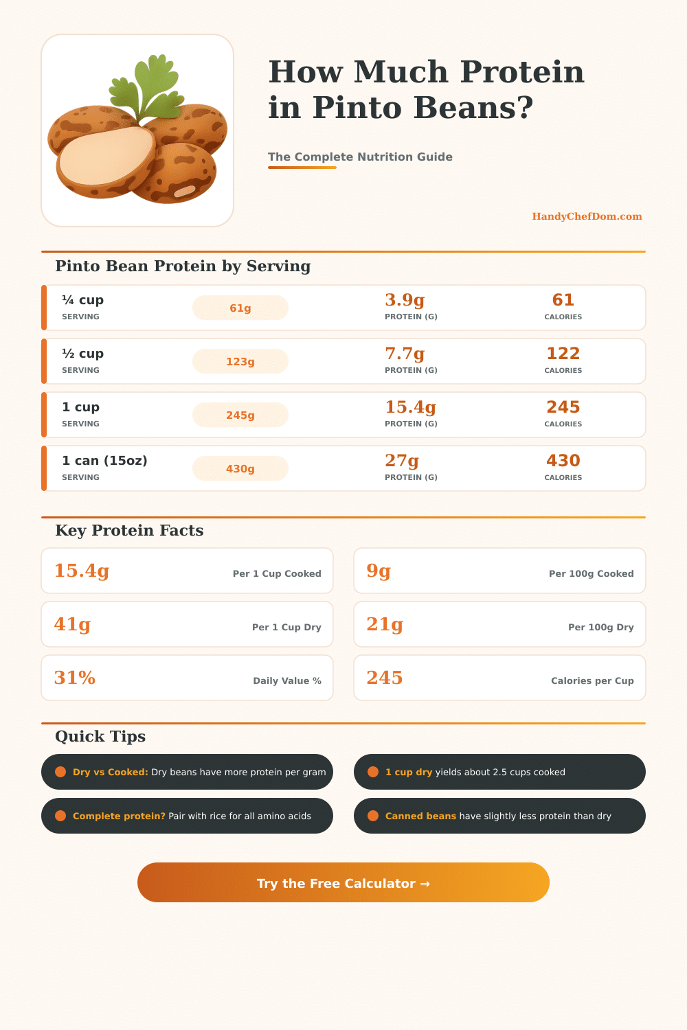 Pinto Bean Protein Calculator – How Much Protein in Pinto Beans?