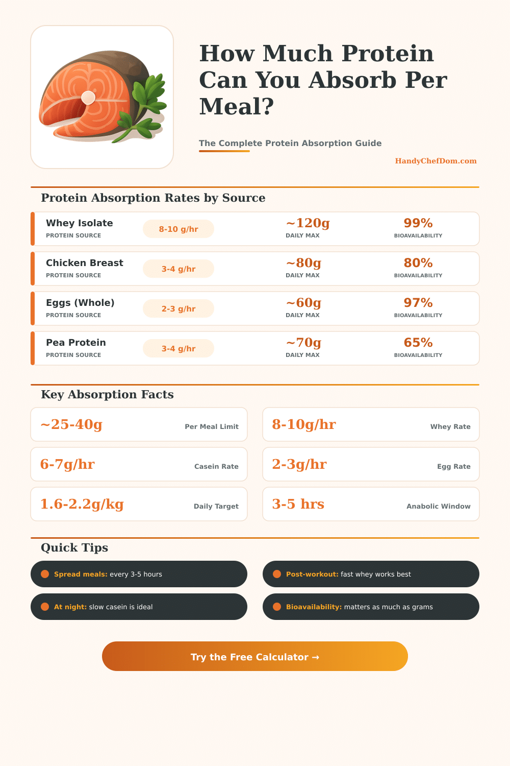 Protein Absorption Calculator: How Much Protein Can You Use Per Meal?