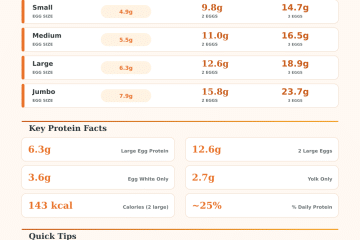 Protein in 2 Eggs Calculator – Exact Nutrition Facts