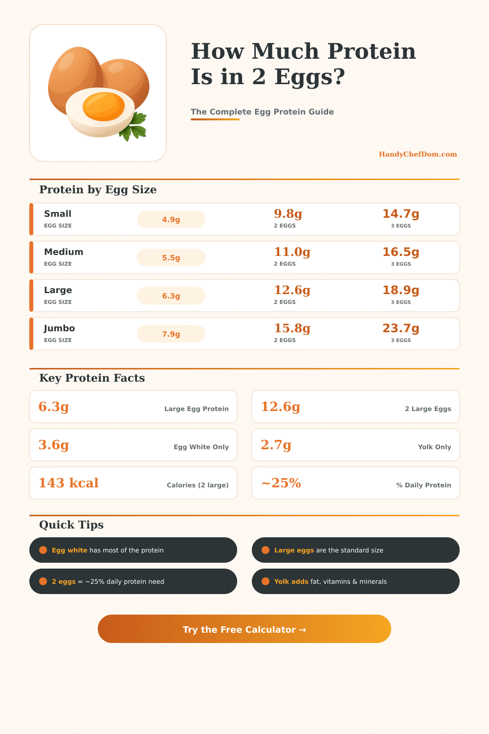 Protein in 2 Eggs Calculator – Exact Nutrition Facts
