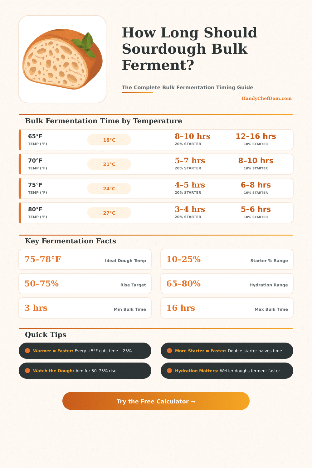 Sourdough Bulk Fermentation Calculator – Perfect Timing Every Time