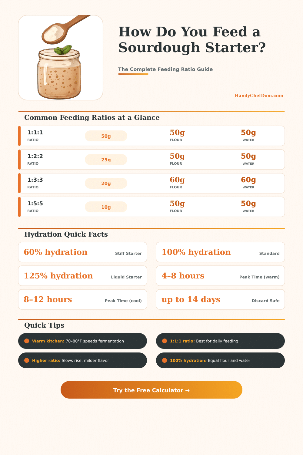 Sourdough Starter Feeding Calculator – Perfect Ratios Every Time