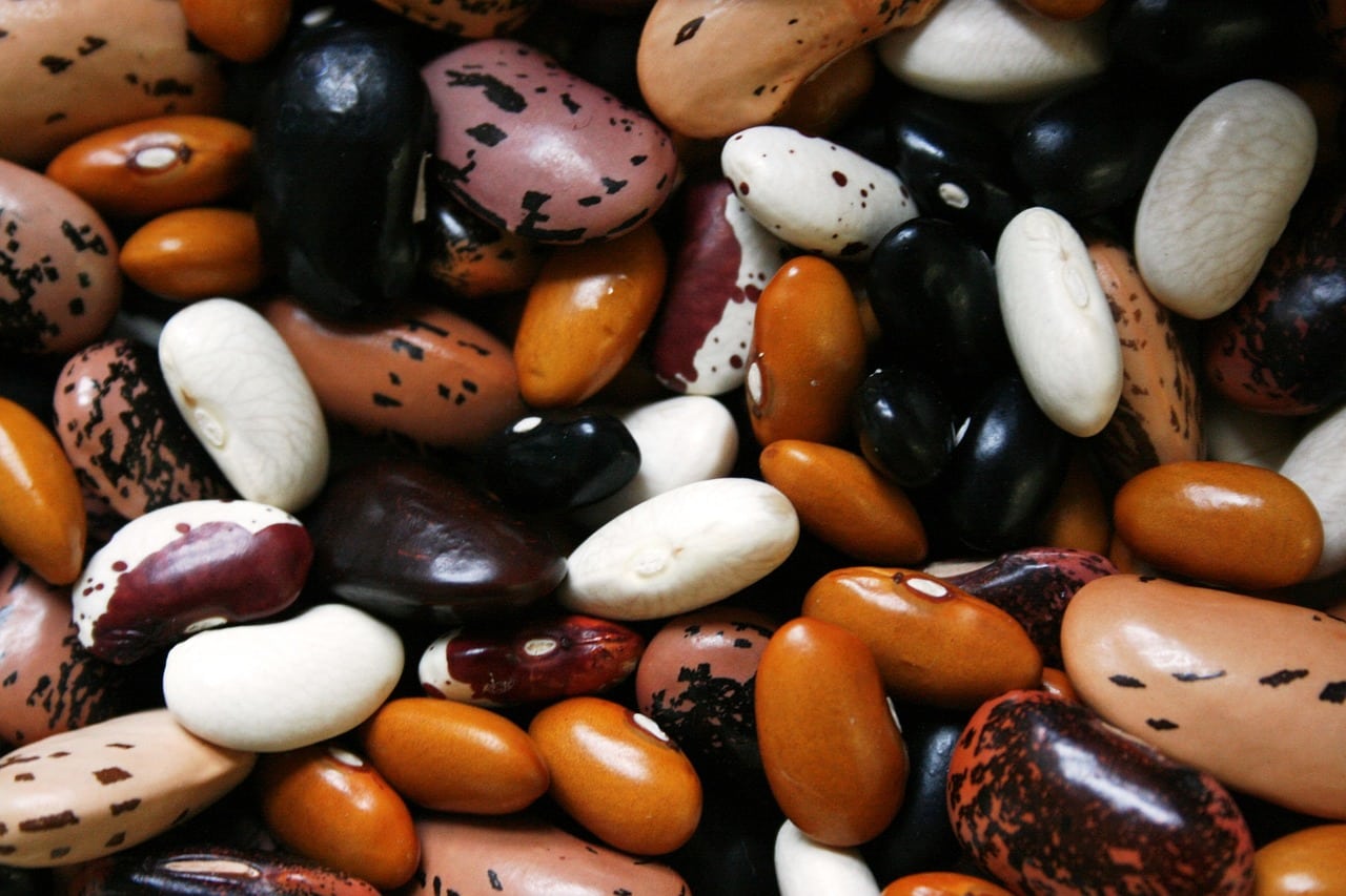 cooked dried beans cooked dried beans