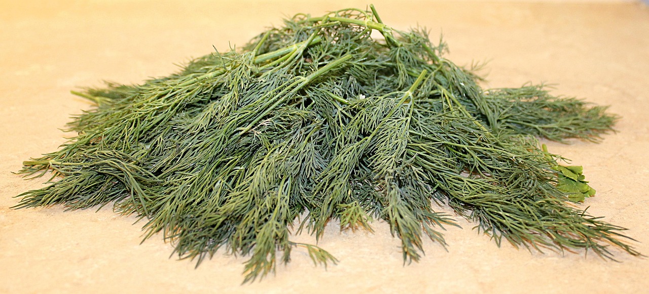 dried dill seasoning