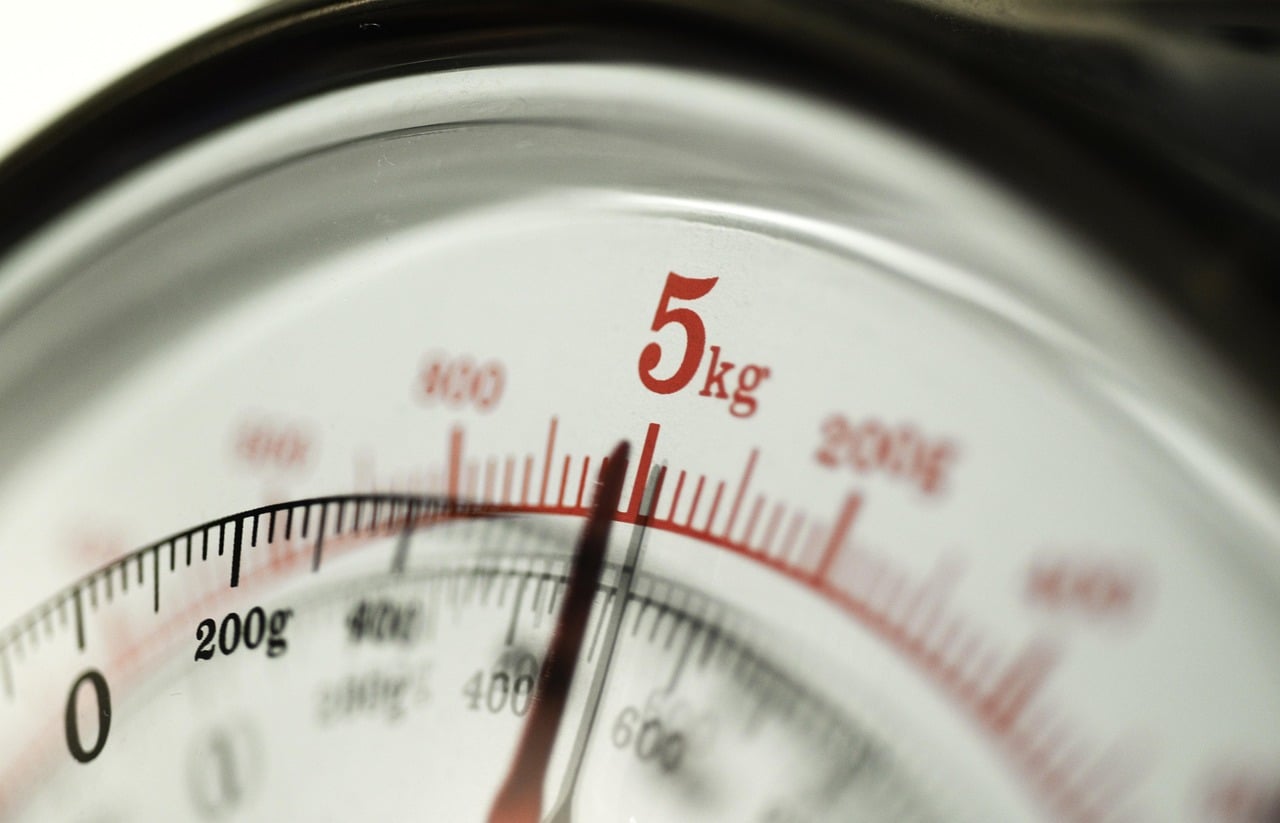 kitchen scale grams