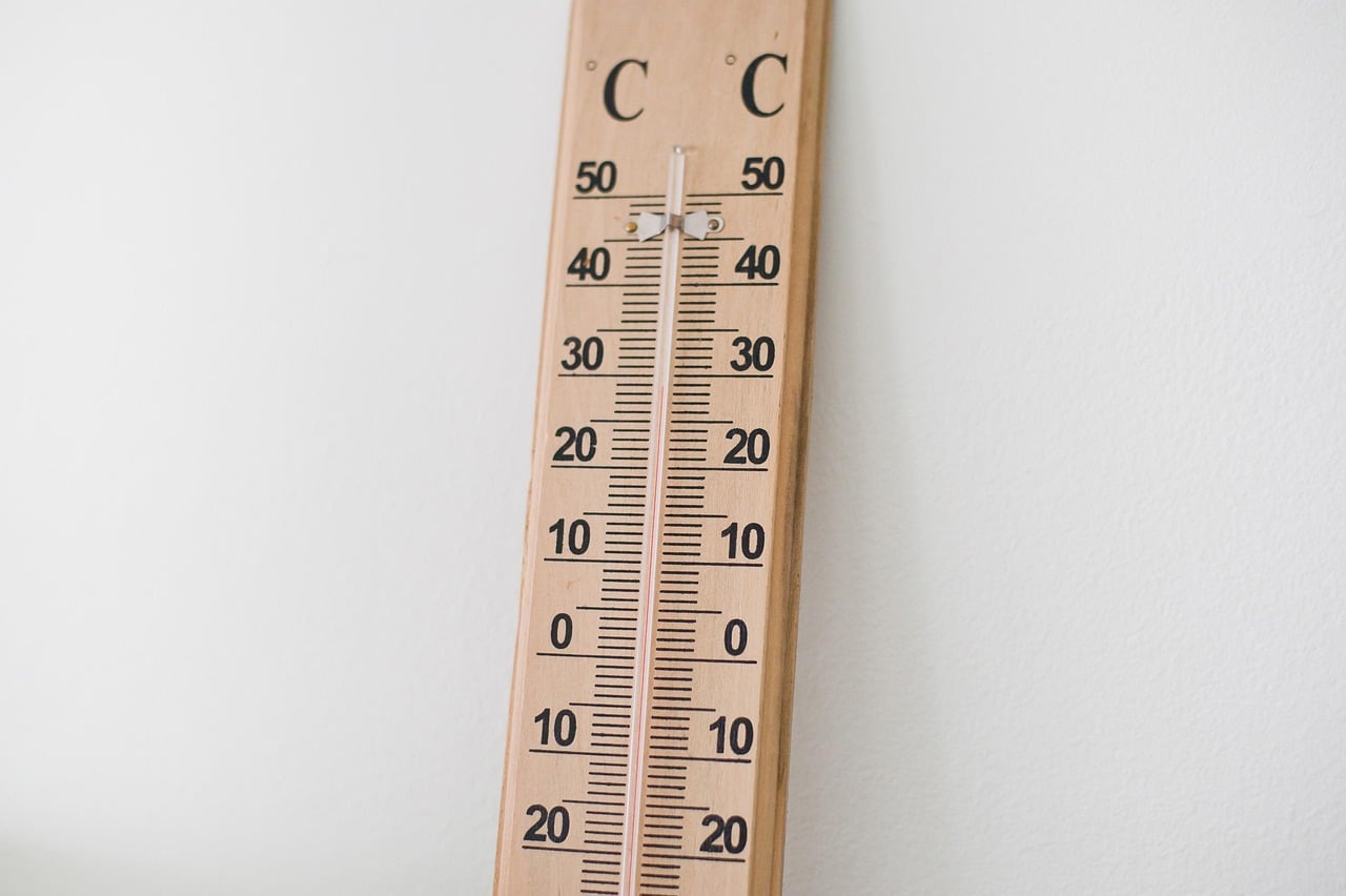 oven thermometer