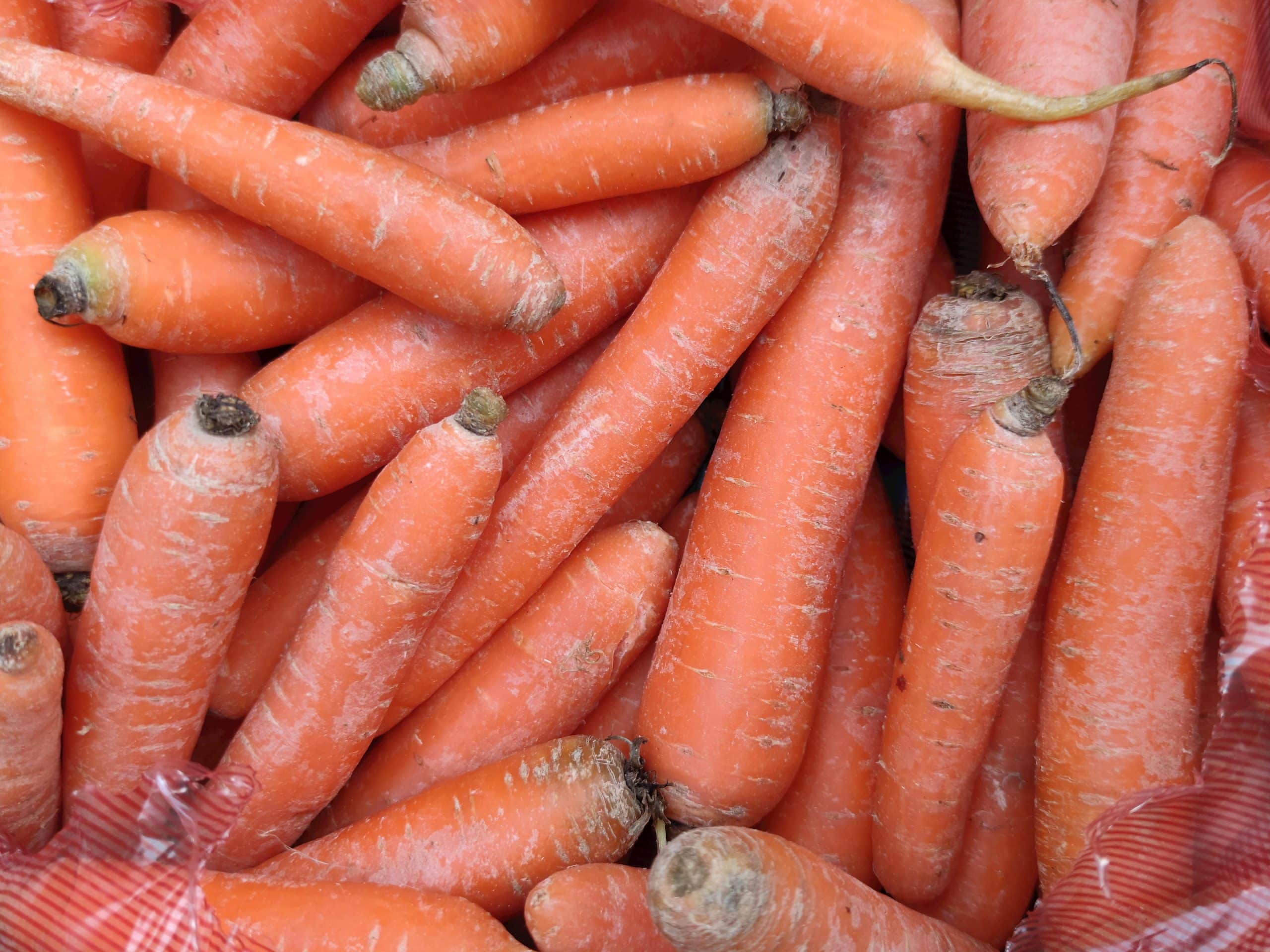 raw root vegetables raw root vegetables